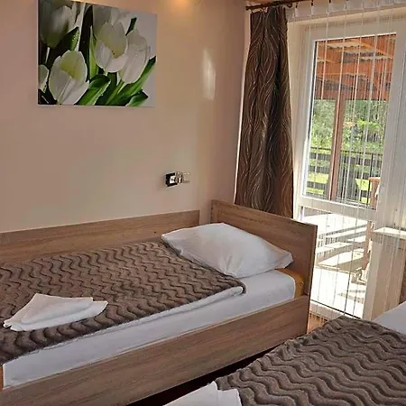 Mis Hotel *