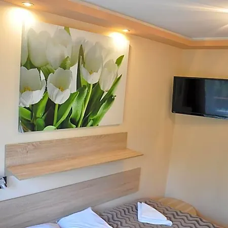 Hotel Mis *
